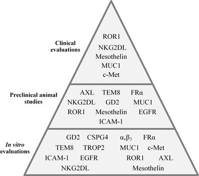 CAR-T cell therapy in triple-negative breast cancer: Hunting the invisible devil